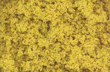 Coarse Turf Shaker - 32oz  907g -- Fall Yellow-1