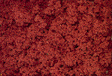 Coarse Turf Shaker - 32oz  907g -- Fall Red-1