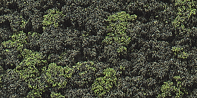Underbrush Clump-Foliage  18 cu.in. -- Forest Blend-1