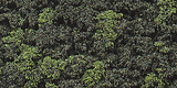 Underbrush Clump-Foliage  18 cu.in. -- Forest Blend-1