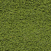Bushes Clump-Foliage  18 cu.in. -- Light Green-1