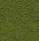 Bushes Clump-Foliage  18 cu.in. -- Medium Green-1
