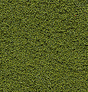 Bushes Clump-Foliage  18 cu.in. -- Medium Green-1