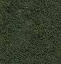 Bushes Clump-Foliage  18 cu.in. -- Forest Green-1