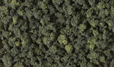 Bushes Clump-Foliage  18 cu.in. -- Forest Blend-2