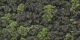 Bushes Clump-Foliage  18 cu.in. -- Forest Blend-1