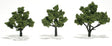 Ready-Made "Realistic Trees" - Deciduous - 3 to 4"  7.6 to 10.2cm pkg(3) -- Light Green
