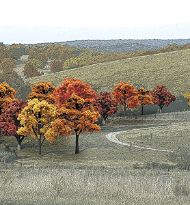 Fall Colors Deciduous Tree Pack - Ready Made Trees(TM) -- 3/4 to 2"  1.9 to 5.1cm pkg(38)