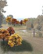 Fall Colors Deciduous Tree Pack - Ready Made Trees(TM) -- 2 to 3"  5.1 to 7.6cm pkg(23)