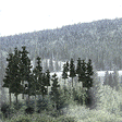 Coniferous Tree Pack - Ready Made Trees(TM) -- 2-1/2 to 4"  6.4 to 10.2cm pkg(33)