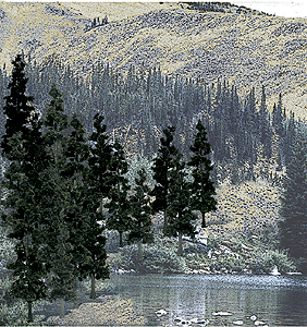 Coniferous Tree Pack - Ready Made Trees(TM) -- 4 to 6"  10.2 to 15.2cm pkg(24)