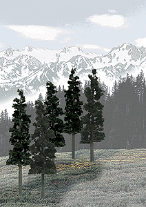 Coniferous Tree Pack - Ready Made Trees(TM) -- 6 to 8"  15.2 to 20.3cm pkg(12)