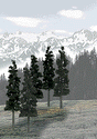 Coniferous Tree Pack - Ready Made Trees(TM) -- 6 to 8"  15.2 to 20.3cm pkg(12)