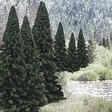 Evergreen Tree Value Pack - Ready Made Trees(TM) -- 2 to 4"  5.1 to 10.2cm pkg(18)