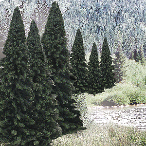 Evergreen Tree Value Pack - Ready Made Trees(TM) -- 2 to 4"  5.1 to 10.2cm pkg(18)
