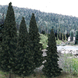 Evergreen Tree Value Pack - Ready Made Trees(TM) -- 4 - 6"  10.2 - 15.2cm pkg(13)