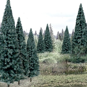 Blue Spruce Tree Value Pack - Ready Made Trees(TM) -- 4 to 6"  10.2 to 15.2cm pkg(13)