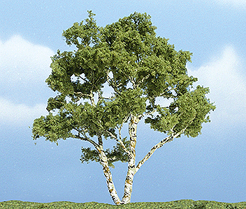 Ready Made Premium Trees(TM) - Deciduous -- Birch - 3-7/8"  9.8cm