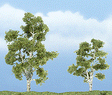 Ready Made Premium Trees(TM) - Deciduous -- Sycamore - 1 Each; 2-7/8 & 2-3/8"  7.3 & 6cm