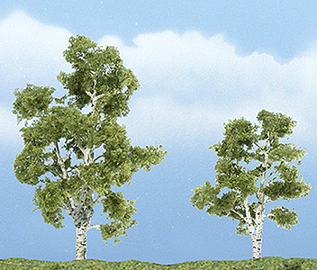 Ready Made Premium Trees(TM) - Deciduous -- Sycamore - 1 Each; 2-7/8 & 2-3/8"  7.3 & 6cm