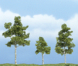 Ready Made Premium Trees(TM) - Deciduous -- Paper Birch; One Each: 1-1/2, 2-1/4 & 2-3/4"  3.8, 5.7 & 7cm