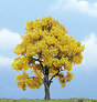 Ready Made Premium Trees(TM) - Deciduous -- Fall Beech - 4"  10.2cm