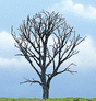 Ready Made Premium Trees(TM) - Deciduous -- Dead Maple - 4"  10.2cm