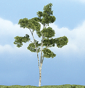 Ready Made Premium Trees(TM) - Deciduous -- Paper Birch - 4-1/2"  11.4cm