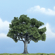 Ready Made Premium Trees(TM) - Deciduous -- Walnut - 4-1/4"  10.8cm