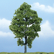 Ready Made Premium Trees(TM) - Deciduous -- Hickory - 5-3/4"  14.6cm