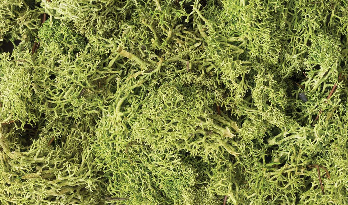 Lichen - 1.5qts  1.4L -- Light Green-2