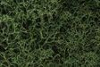 Lichen - 1.5qts  1.4L -- Medium Green-1