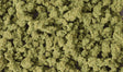 Bushes - Shaker - 32oz  907g -- Olive Green