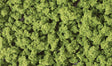 Bushes - Shaker - 32oz  907g -- Light Green