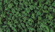 Bushes - Shaker - 32oz  907g -- Dark Green