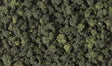Bushes - Shaker - 32oz  907g -- Forest Blend