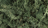 Lichen - 1.5qts  1.4L -- Dark Green-2