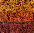 Lichen - 1.5qts  1.4L -- Autumn Mix-1