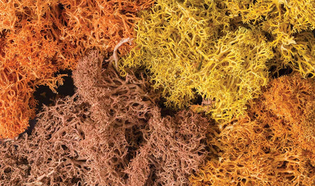 Lichen - 1.5qts  1.4L -- Autumn Mix-2