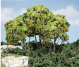 Forest Canopy(TM) - Kit - 151 Cu. In. - 2474 Cu. Cm. -- Light Green