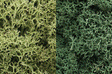 Lichen - 48oz  2.84L -- Light Green Mix-1