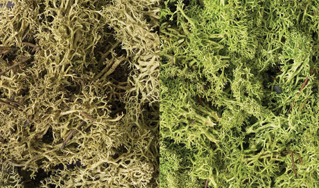 Lichen - 48oz  2.84L -- Light Green Mix-2