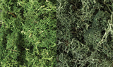 Lichen - 48oz  2.84L -- Dark Green Mix-2