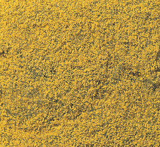 Flowering Foliage(TM) - 100 Square In  645 Square Cm -- Yellow