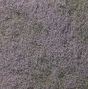 Flowering Foliage(TM) - 100 Square In  645 Square Cm -- Purple