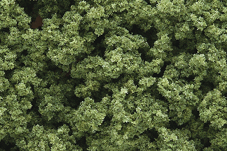 Clump Foliage(TM) - 3 Quarts  2.8L -- Light Green-1