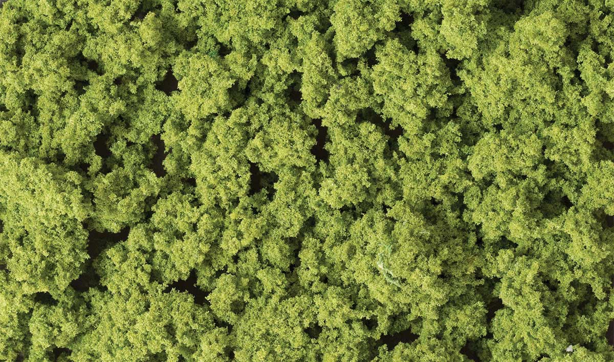 Clump Foliage(TM) - 3 Quarts  2.8L -- Light Green-2