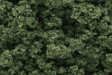 Clump Foliage(TM) - 3 Quarts  2.8L -- Medium Green-1