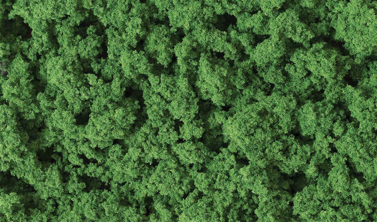 Clump Foliage(TM) - 3 Quarts  2.8L -- Medium Green-2