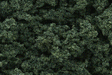 Clump Foliage(TM) - 3 Quarts  2.8L -- Dark Green-1